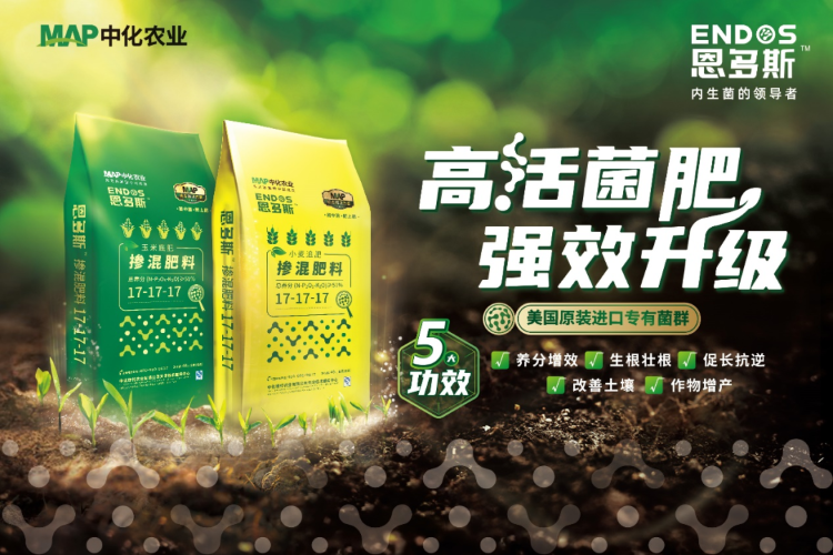 OEŷ��|�ٷ���վ